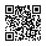 353VB3I143T QRCode