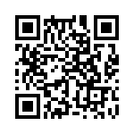 353VB3I250T QRCode