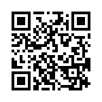 353VB3I491T QRCode