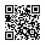 353VB3I655T QRCode