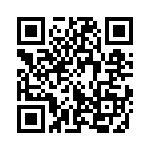 353VB6A388T QRCode