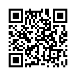 353WB3I307T QRCode