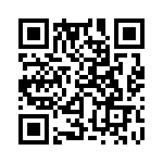 353WB5A163T QRCode