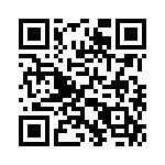 353WB5C163T QRCode