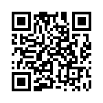 353WB5I491R QRCode