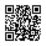 381N500 QRCode