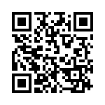 387 QRCode