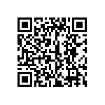 399-V3-153-10-009101 QRCode