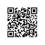 399-V3-161-10-009101 QRCode