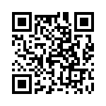 4-1437416-5 QRCode