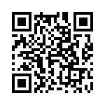 4-1601009-4 QRCode