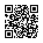 4-1617073-1 QRCode