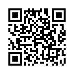 4-1625868-0 QRCode