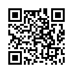 4-1625868-5 QRCode