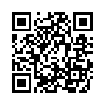 4-1625868-7 QRCode