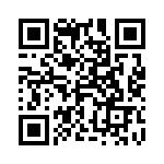 4-170823-1 QRCode