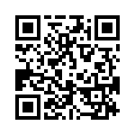 4-1734260-1 QRCode