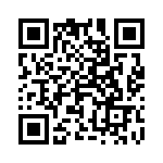 4-1734260-3 QRCode