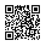 4-1747769-0 QRCode