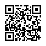 4-2176074-2 QRCode