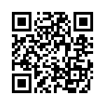 4-2271110-1 QRCode