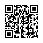 4-338313-2 QRCode