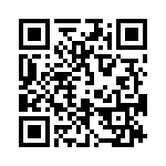 4-5353190-0 QRCode