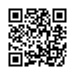 4181-3PG-300 QRCode