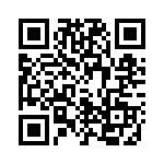 4275P501K QRCode