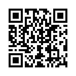 4281-9PG-300 QRCode