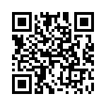 4281-9SG-300 QRCode