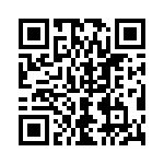 4291-4PG-300 QRCode