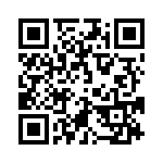 4291-5SG-300 QRCode