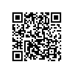 4313-T-B1_B_ANY QRCode