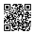 4379-823JS QRCode