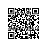 445I33D13M00000 QRCode