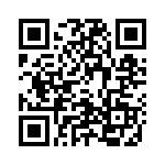 480X QRCode