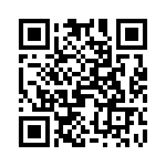 4818P-T02-333 QRCode