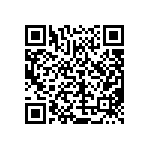 4S2VRV600D53BT1NTM1012 QRCode