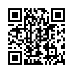 500X07W221MV4T QRCode