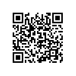 510-87-236-17-062101 QRCode