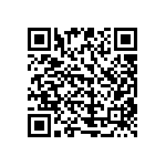 51740-10102401AA QRCode