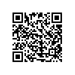 51741-10002407AA QRCode