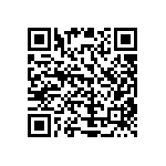 51743-10600000AA QRCode