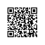 51744-10102401A0 QRCode