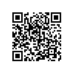 51760-11002410AA QRCode