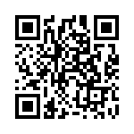 52042 QRCode