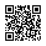 54101-G10-06LF QRCode