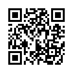 54101-T06-10 QRCode