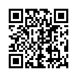 54101-T10-04 QRCode